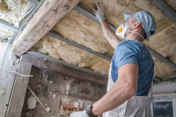 Best Home Insulation Services  in Buena Vista, GA
