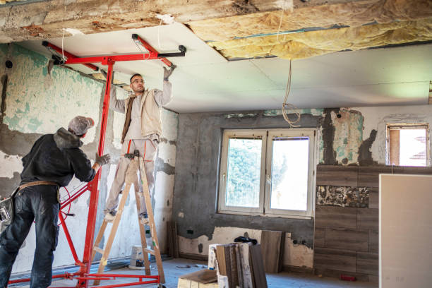 Best Insulation Contractor Near Me  in Buena Vista, GA