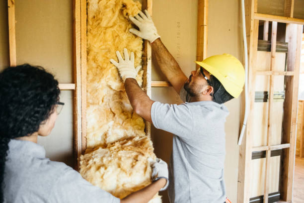 Best Local Insulation Services  in Buena Vista, GA
