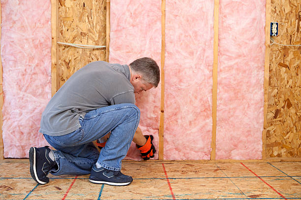 Best Soundproof Insulation Installation  in Buena Vista, GA