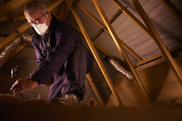 Best Commercial Insulation Contractor  in Buena Vista, GA